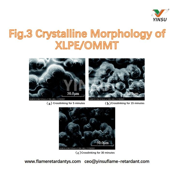 Fig.3 Crystalline Morphology of XLPE