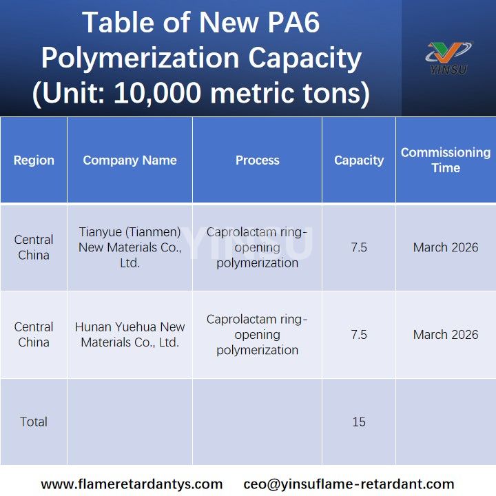Table of New PA6 Polymerization Capacity