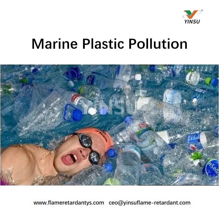 Marine Plastic Pollution