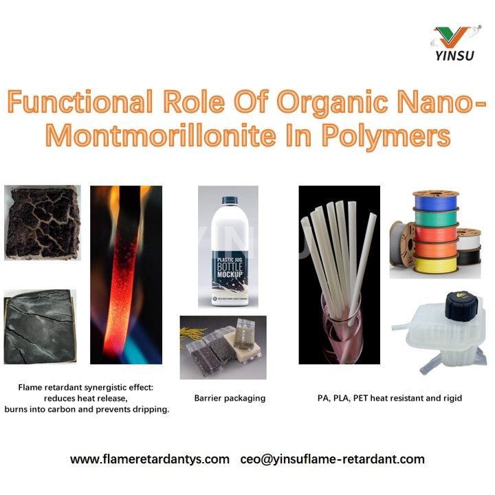 Functional Role Of Organic Nano-Montmorillonite In Polymers