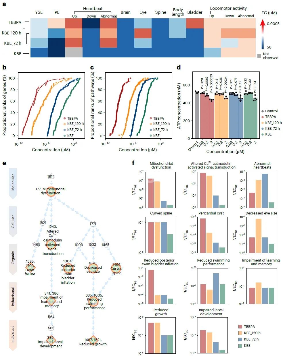 Figure 5. Embryonic Development Toxicity in Zebrafish