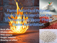 //ikrorwxhnnrili5q-static.micyjz.com/cloud/lqBprKkqlrSRmkiiljlpjo/Flame-Retardant-Polymer-Materials-Research-on-the-Mechanism-of-Vapor-Phase-Flame-Retardation.jpg