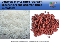 //ikrorwxhnnrili5q-static.micyjz.com/cloud/lrBprKkqlrSRqkopjonpjp/Analysis-of-PA6-flame-retardant-mechanism-and-common-flame-retardants.jpg