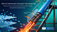 //ikrorwxhnnrili5q-static.micyjz.com/cloud/pjBprKkqlrSRmlnnpmmljm/0926-Why-Do-Cable-Bundle-Combustion-Tests-Always-Fail.jpg